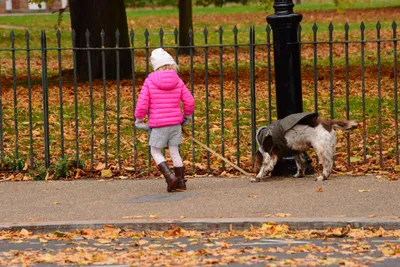 DSC_0699 (Large).JPG